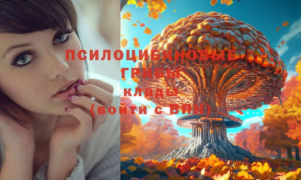 стаф Карталы