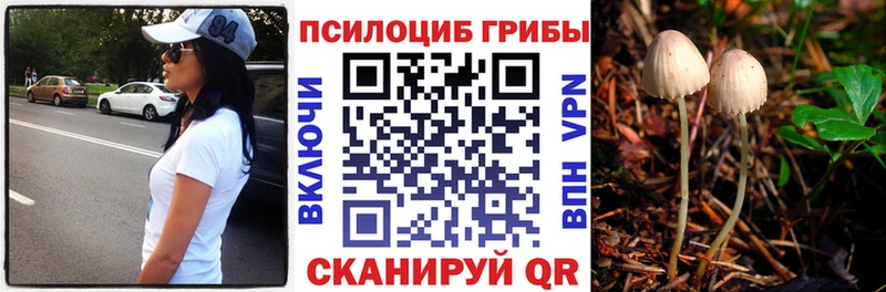 Псилоцибиновые грибы GOLDEN TEACHER  Купить где  Новый Оскол 